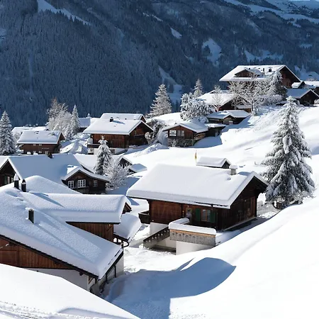 Grindellodge Otel 3*