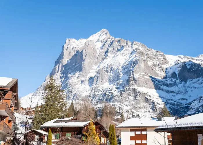 Hotel Grindellodge 3*